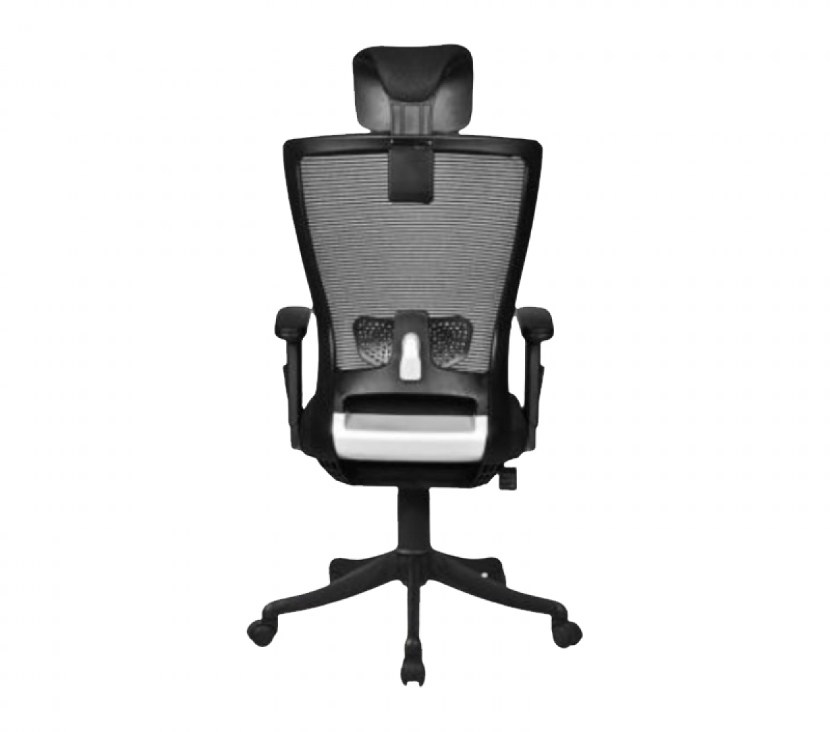 Directors Chair