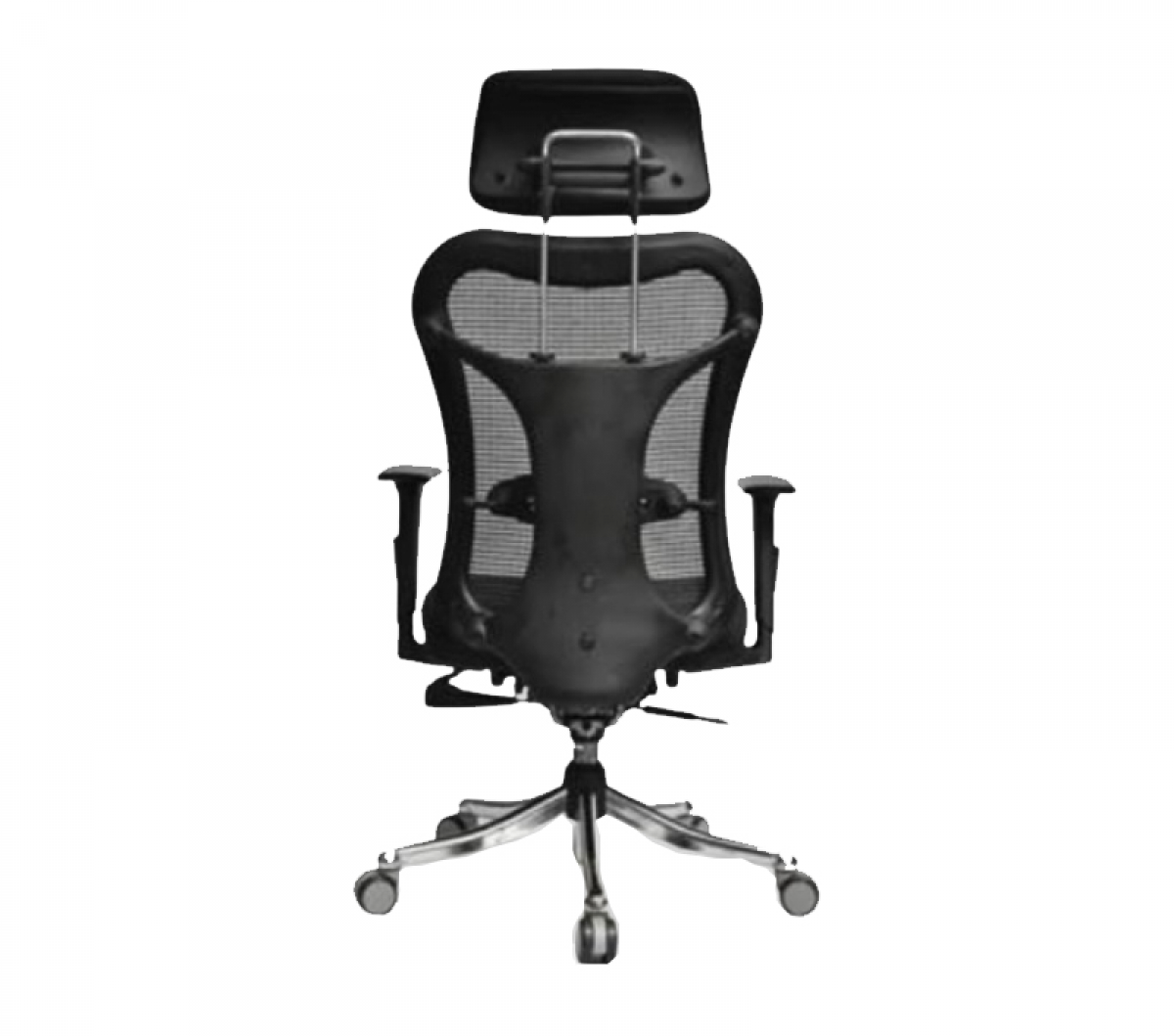 Directors Chair High Back