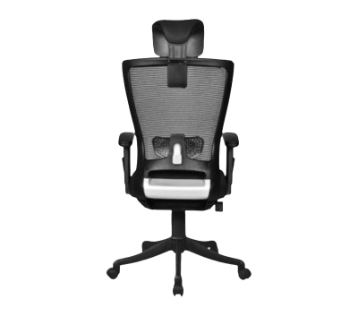 Directors Chair