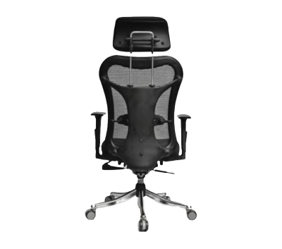 Directors Chair High Back