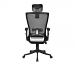 Directors Chair