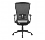 Visitors Chairs